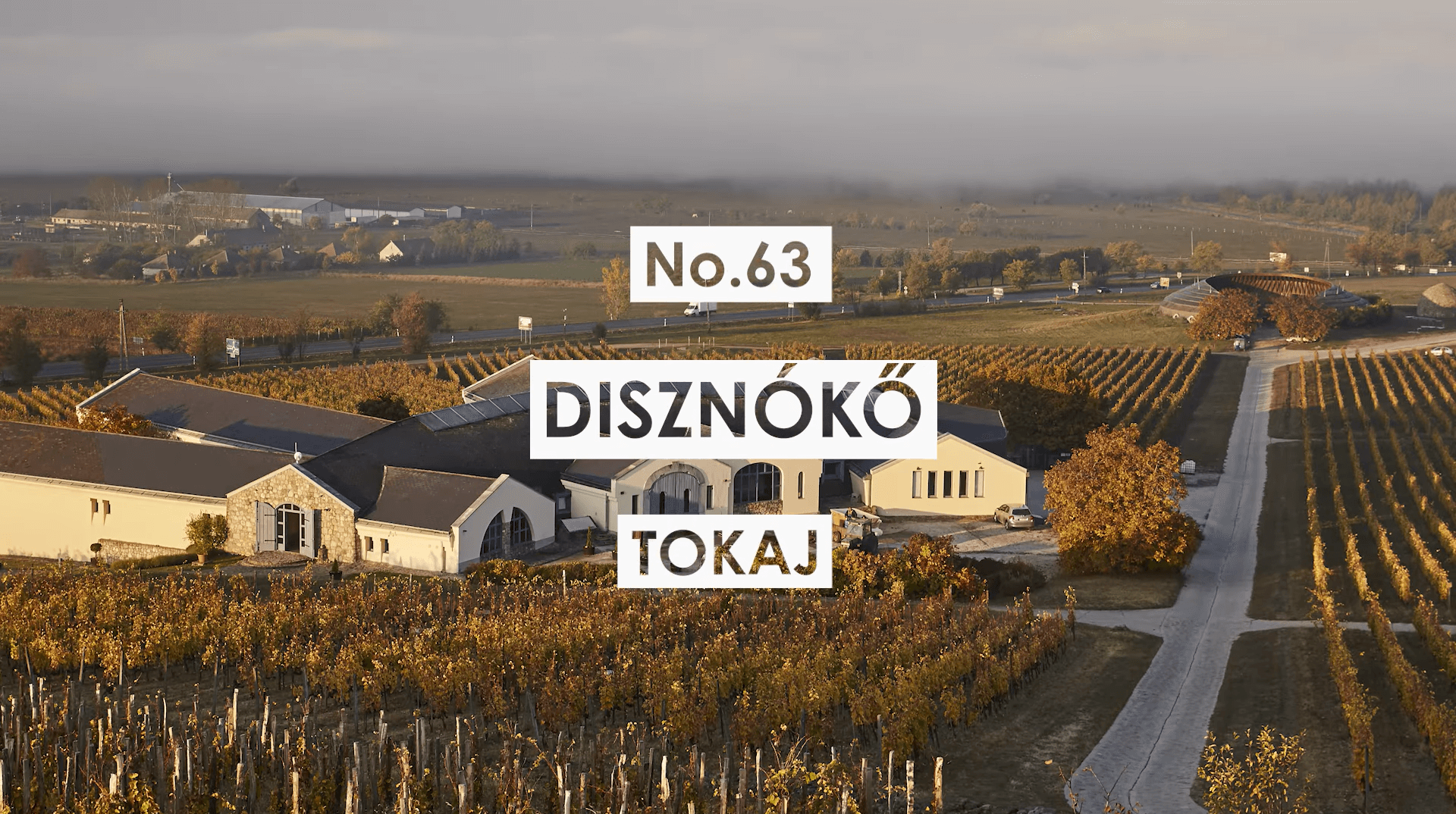 Disznókő Among the World’s Best Vineyards – Once Again!