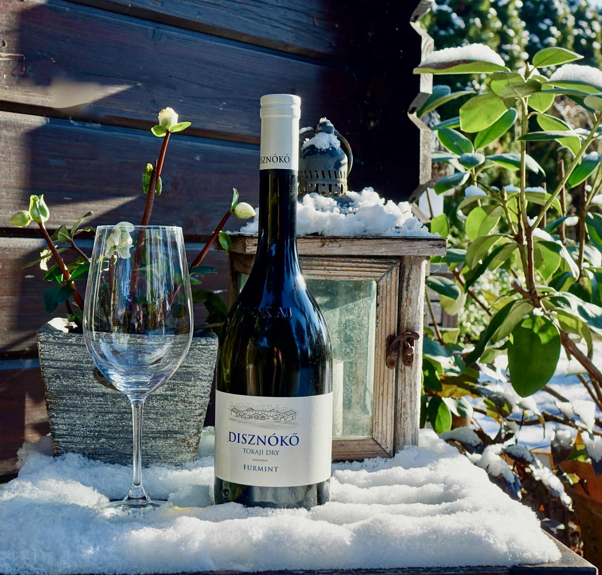 Találkozzunk a Furmint Február rendezvényein! Itthon és külföldön is! 