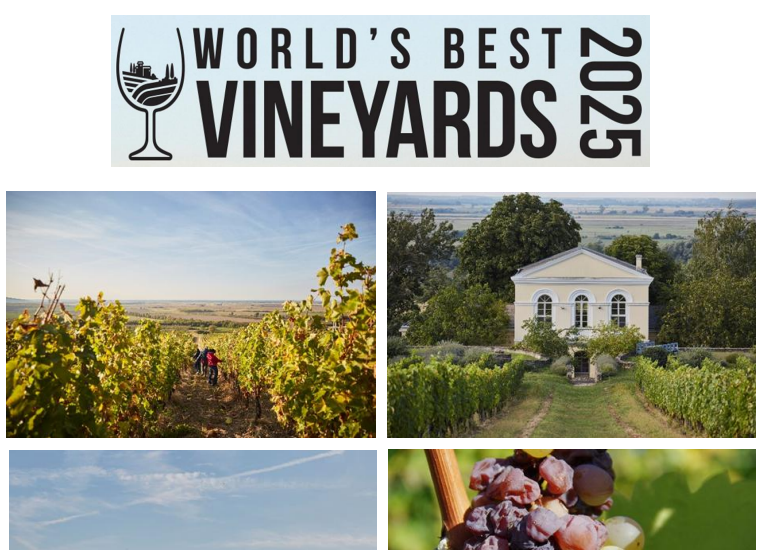 Disznókő Szőlőbirtok