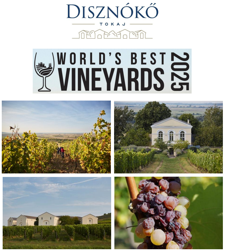 Disznókő Szőlőbirtok