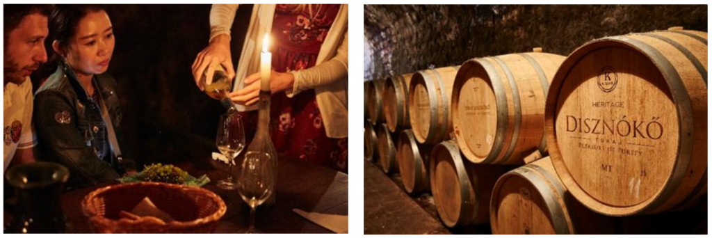 Disznókő borkóstoló