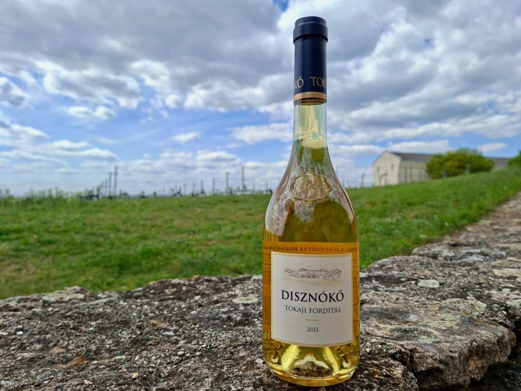 Disznókő Tokaji Fordítás