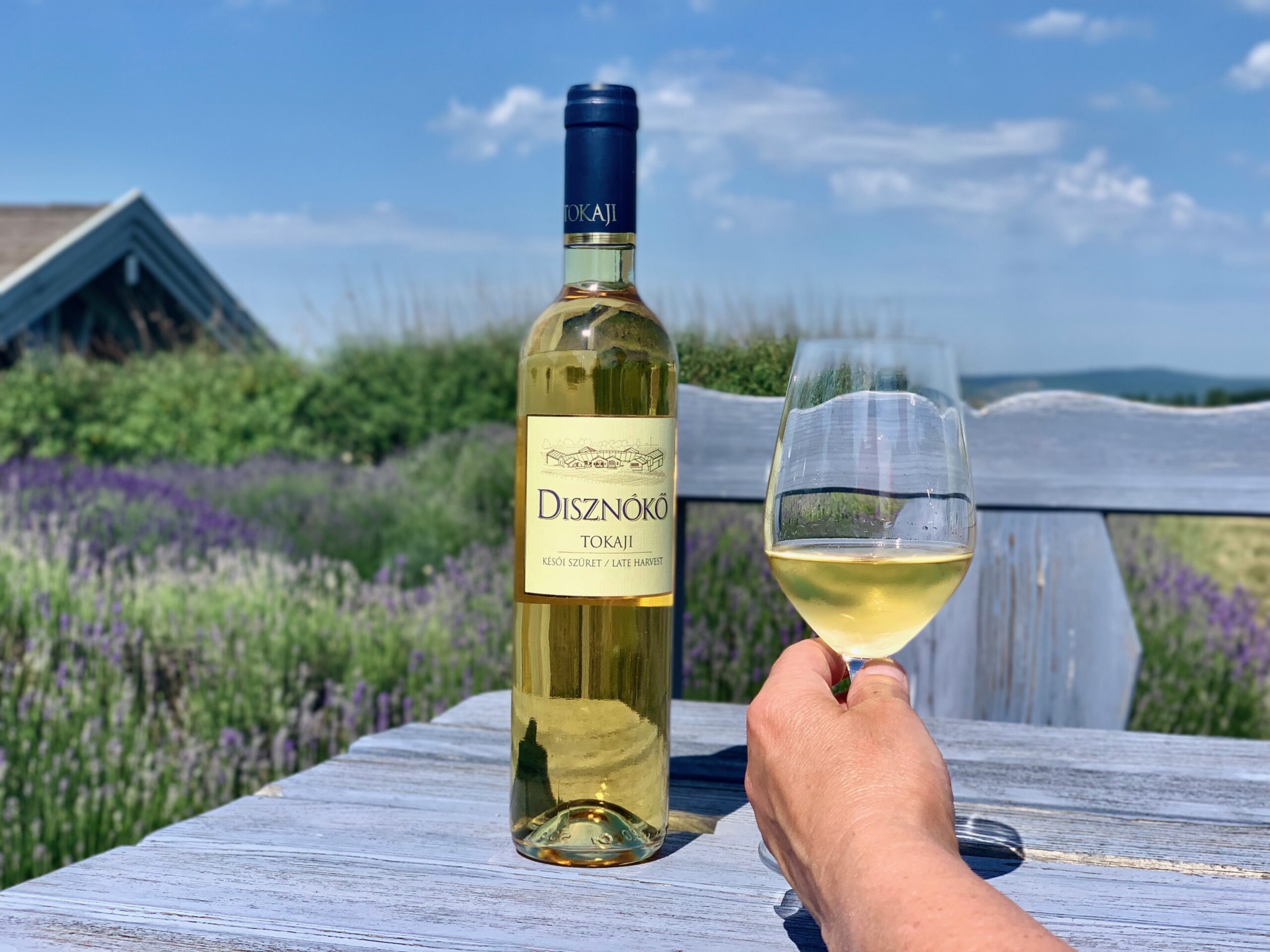 Disznókő Tokaji Késői Szüret 2022 – Könnyed édesség, játékos elegancia