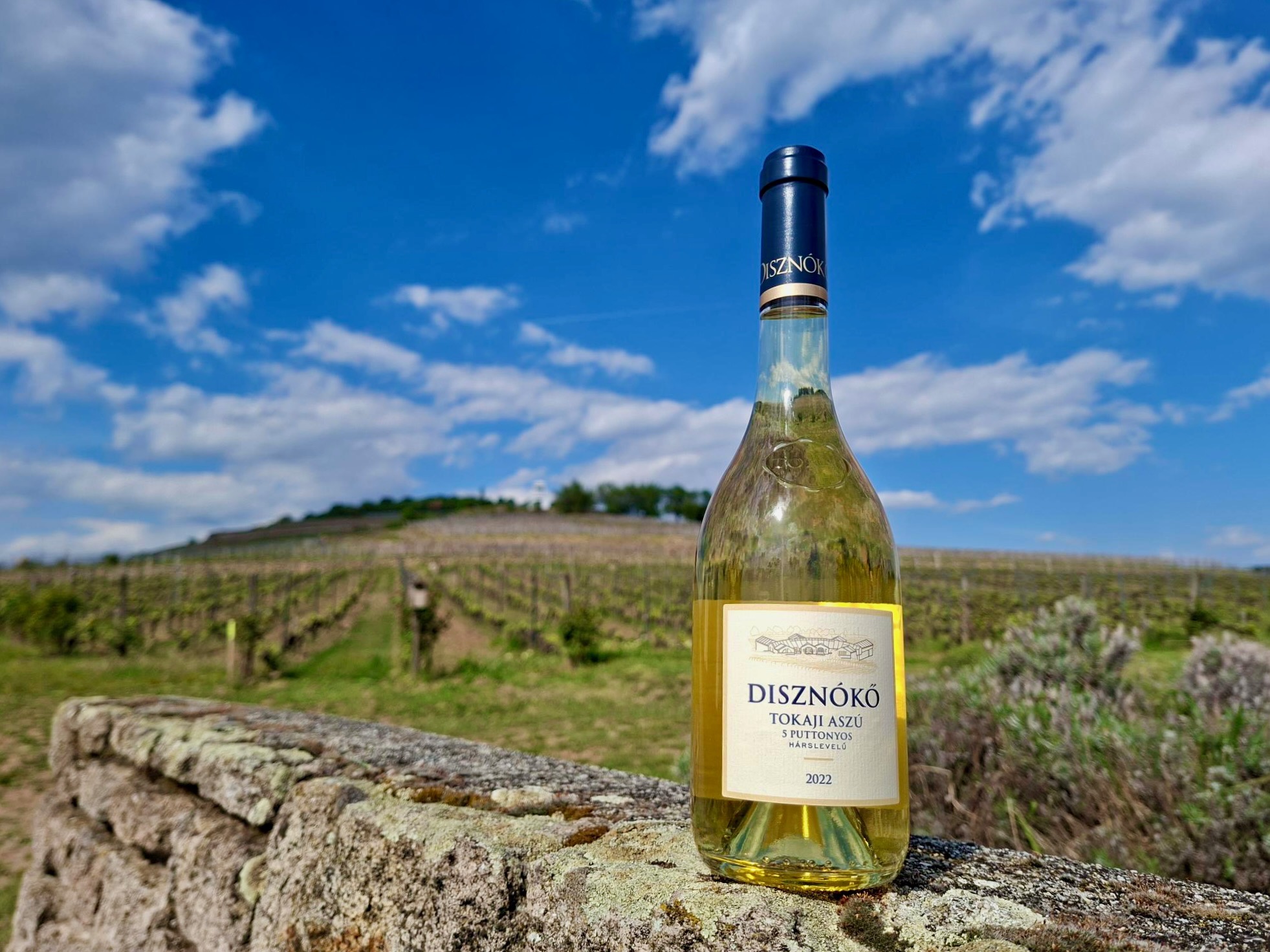 Disznókő Hárslevelű Aszú 2022