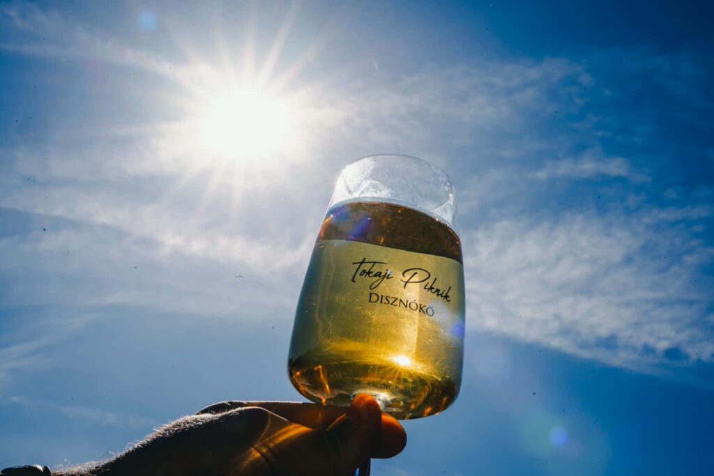 Disznókő Tokaji Piknik